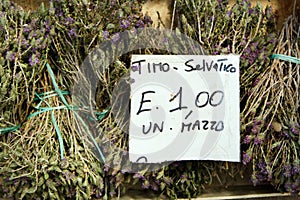 Wild thyme on a farmers market