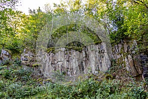 Bürgersteig Wald aus 