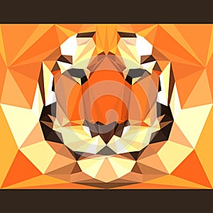 Wild tiger stares forward. Abstract geometric polygonal triangle illustration