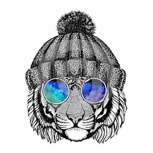 Wild tiger wearing hippie glasses and knitted hat Hipster animal Picture for tattoo, logo, emblem, badge design