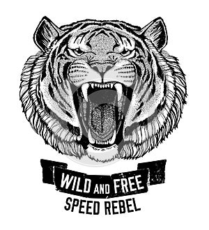 Wild tiger Wild cat Be wild and free T-shirt emblem, template Biker, motorcycle design Hand drawn illustration