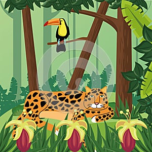 Wild toucan exotic bird and leopard