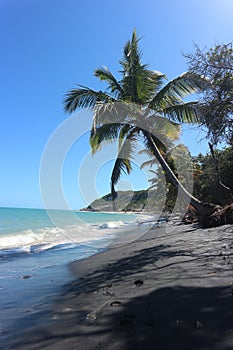 Wild Tropical Beach in Brazil