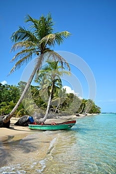Wild tropical beach with coconut trees and other vegetation, white sand beach with boat, Caribbean Sea
