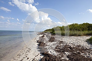 Wild tropical beach landscape