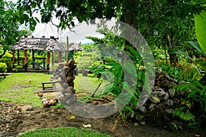 Wild tropical garden in Oceania with coconut shells, exotic vegetation and fales, Samoa