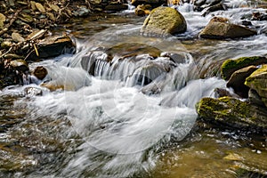 Wild Trout Stream in the Blue Ridge Mountains