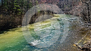 Wild Trout Stream in Goshen Pass