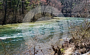 Wild Trout Stream in Goshen Pass