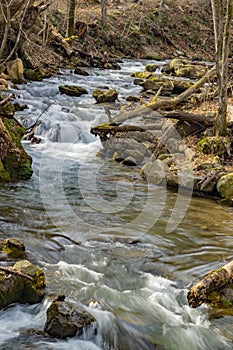 Wild Trout Stream in the Jefferson National Forest