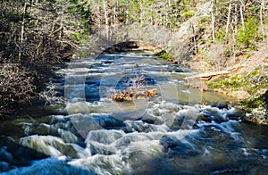 A Wild Trout Streams