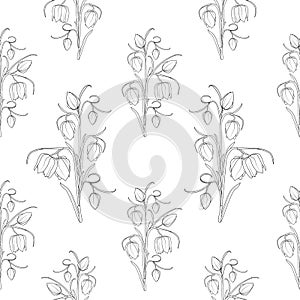 Wild tulip flowers stem leaves seamless pattern texture. Black white outline sketch drawing.