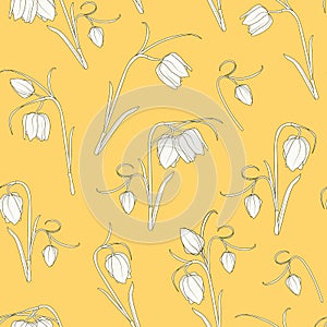 Wild Tulip Fritillaria flowers seamless pattern