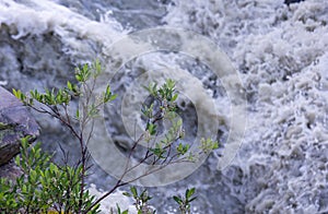 A wild, turbulent mountain river in the Sarek National Park, Sweden.