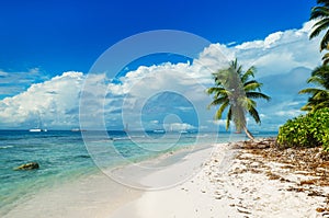 Wild untouched beach on Saona Island