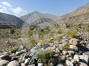 Wild valley of Kyrgyzstan mountains