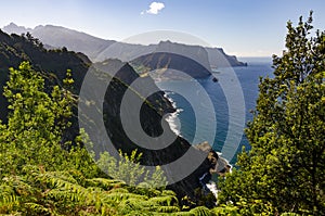 Wild vegetation and coastline from Vereda do Larano trail, Madeira, Portugal