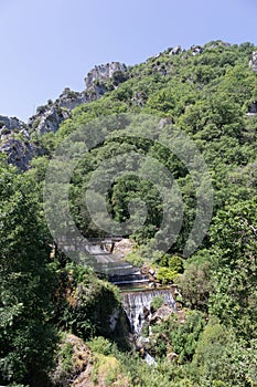 Wild vegetation in a mountain in northern Spain