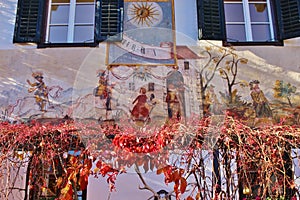 Wild vines and sun dial. Austria, Europe