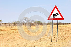 Wild warthog warning sign, Namibia