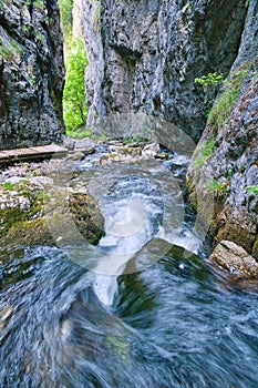 Wild water stream in Prosiecka dolina valley in Chocske vrchy