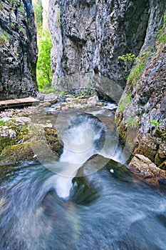 Wild water stream in Prosiecka dolina valley in Chocske vrchy