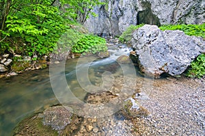 Wild water stream in Prosiecka dolina valley in Chocske vrchy