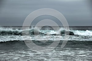 Wild Waves photo