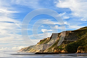 The â€œwildâ€ West Coast of New Zealand: rugged coastal cliffs shaped by powerful processes of erosion and sedimentation
