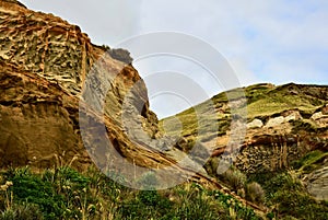 The â€œwildâ€ West Coast of New Zealand: rugged coastal cliffs shaped by powerful processes of erosion and sedimentation