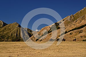 Wild west landscape, riders on horses, dry mountains, savannas, desert land