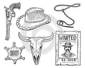 Wild west, rodeo show, cowboy or indians with lasso. hat and gun, cactus with horseshoe, sheriff star and bison, bull