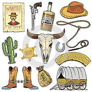 Wild west, rodeo show, cowboy or indians with lasso. hat and gun, cactus with sheriff star and bison, boot with photo