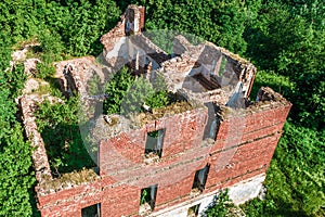 wild white stork (Ciconia ciconia) and its nest with chicks, brick building,aerial view, European