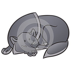 Wild wolf sleep peacefully