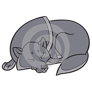 Wild wolf sleep peacefully