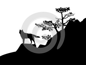 Wild wolf and pine tree black vector silhouette scene