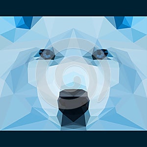 Wild wolf stares forward. Nature and animals life theme background. Abstract geometric polygonal triangle illustration