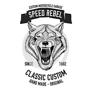 Wild wolf Vector image for motorcycle t-shirt, tattoo, motorcycle club, motorcycle logo