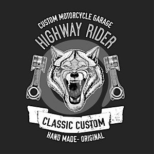 Wild wolf Vector image for motorcycle t-shirt, tattoo, motorcycle club, motorcycle logo