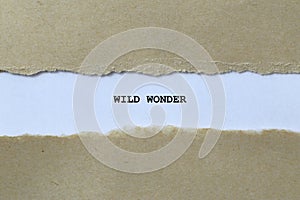 wild wonder on white paper