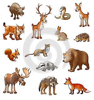 wild wood animals, color cartoon animals on a white background