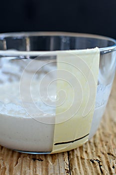 Wild Yeast Sourdough Starter In a Jar