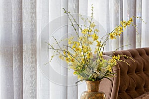 Wild yellow orchid in a vase