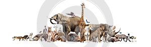 Divoký zoologická zahrada zvířata na bílém reklamní formát pro webové stránky 