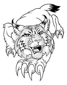 Wildcat Angry Wildcats Team Sports Mascot Roaring