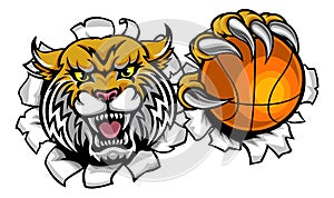 Wildcat Basketball Ball Mascot photo
