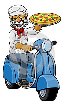 Wildcat Chef Pizza Restaurant Delivery Scooter