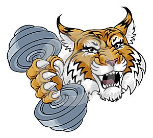 Wildcat Cougar Lynx Lion Weight Lifting Gym Mascot