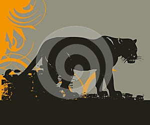 Wildcat grunge illustration photo